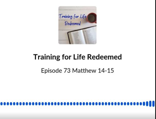Episode 73 Matthew 14-15